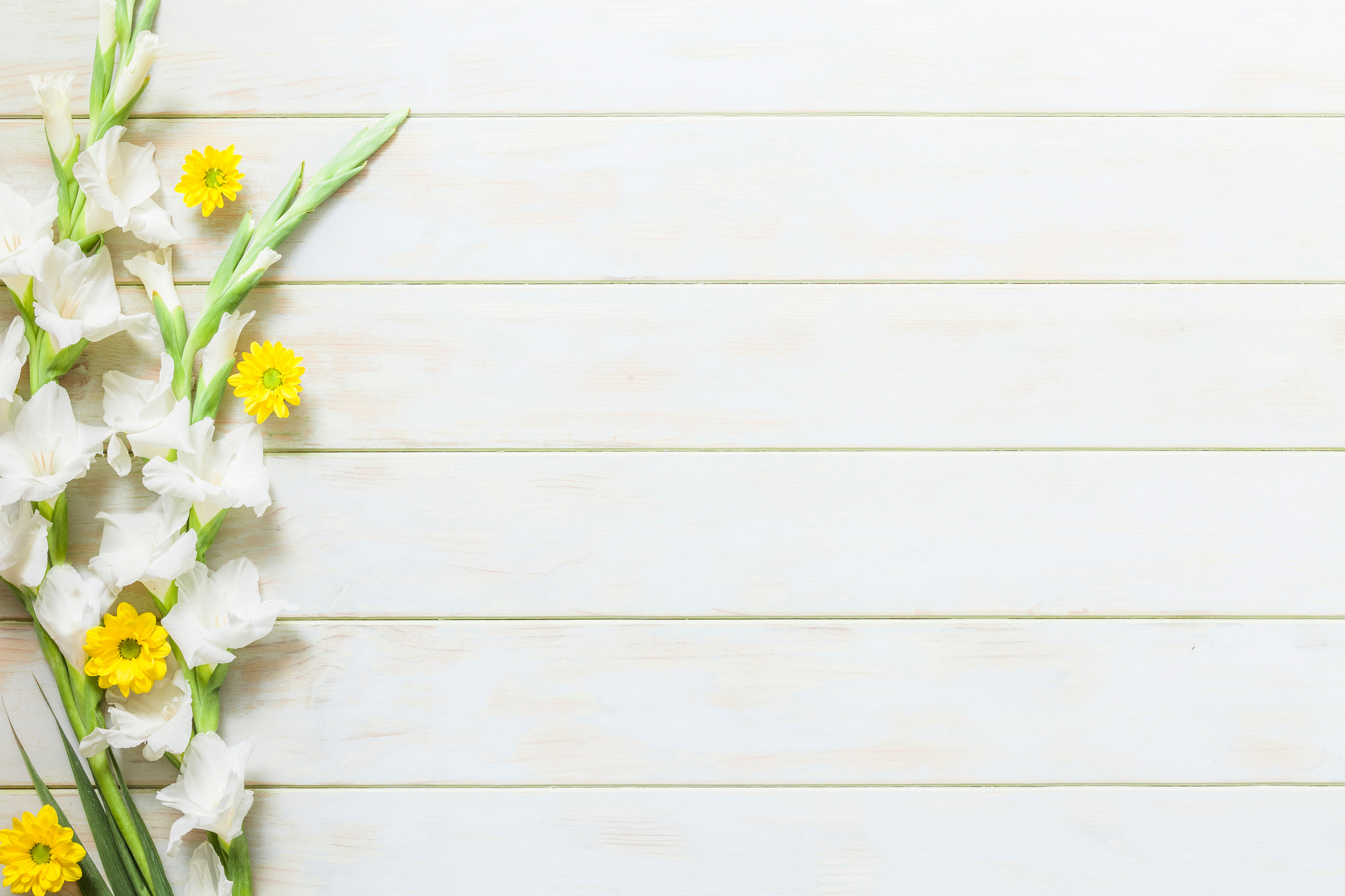 White and yellow flowers background
